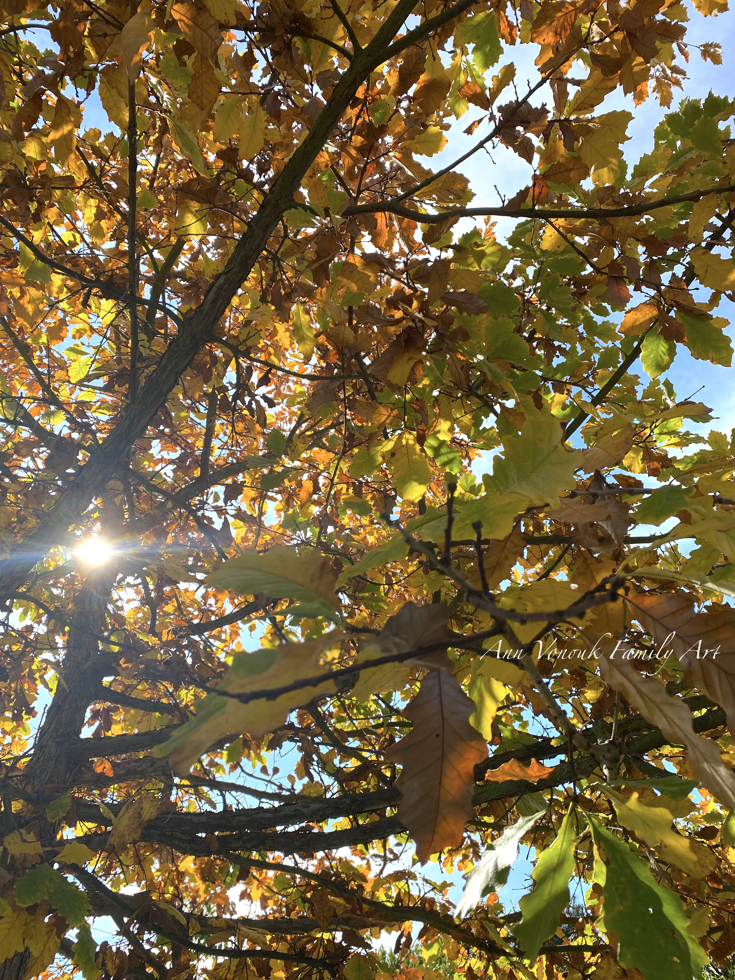 Year Long Astrology Review – Mercury Retrograde In Leo Preview