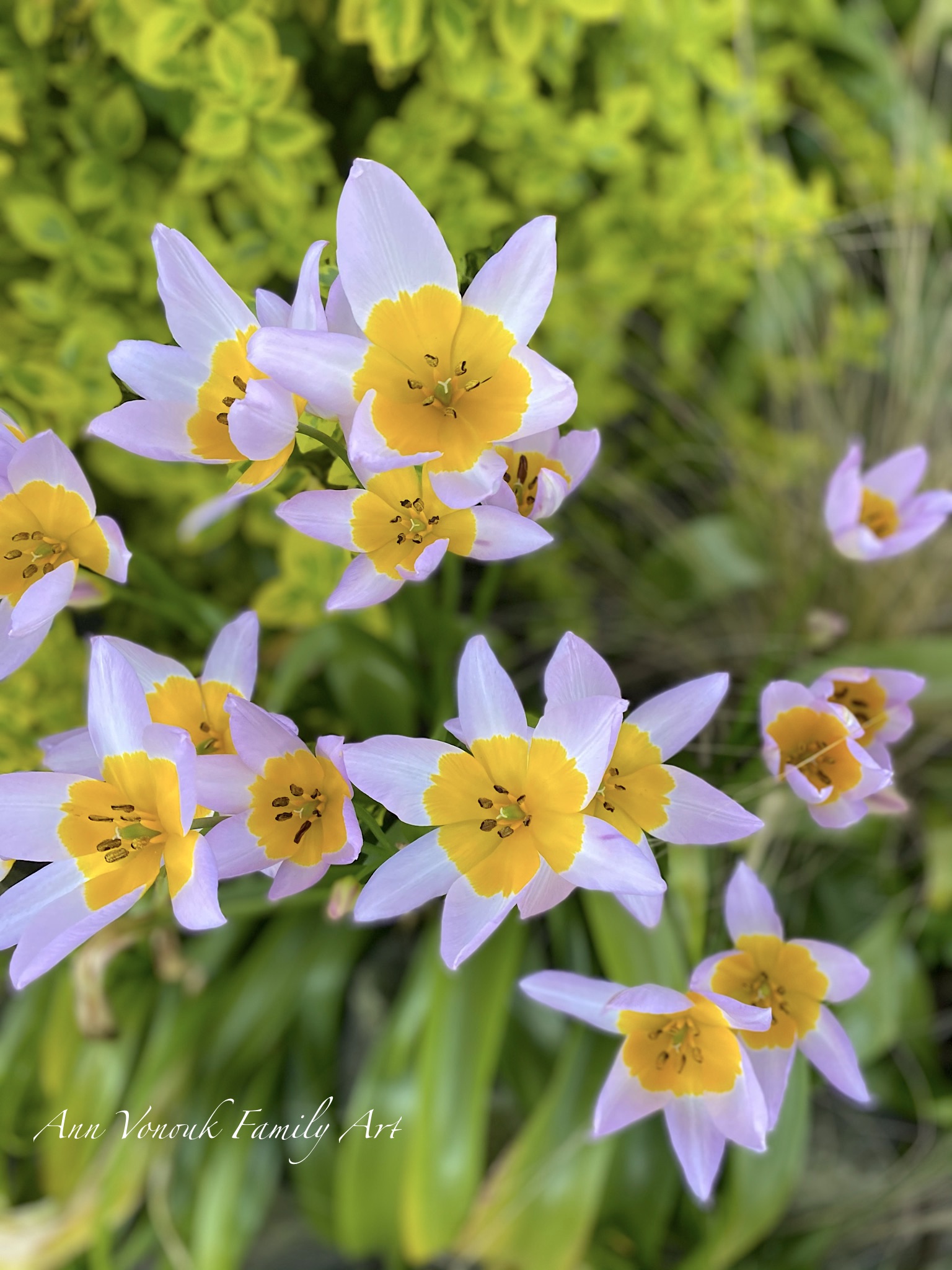 Spring 2025 Astrology Important Dates